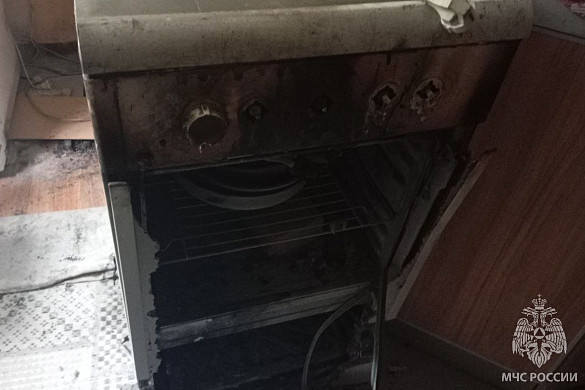 В Ивановской области горели гаражи, хозпостройки, разные дома и ДЕРЕВО